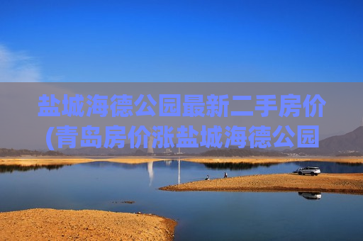 盐城海德公园最新二手房价(青岛房价涨盐城海德公园房价)