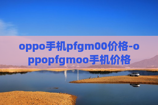 oppo手机pfgm00价格-oppopfgmoo手机价格