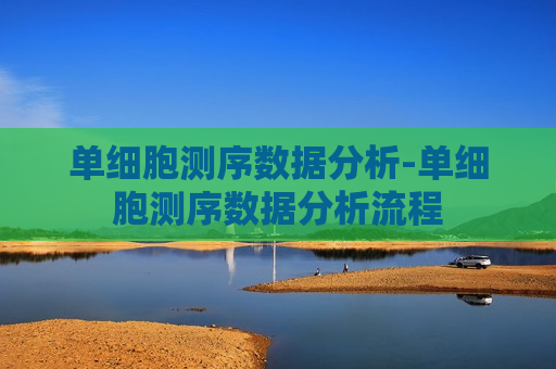 单细胞测序数据分析-单细胞测序数据分析流程