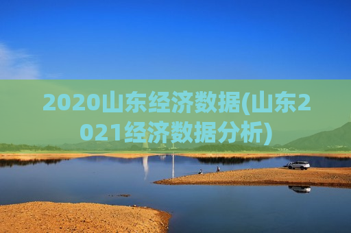 2020山东经济数据(山东2021经济数据分析)