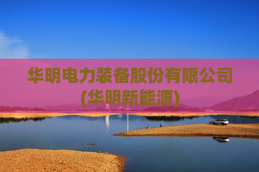 华明电力装备股份有限公司(华明新能源)