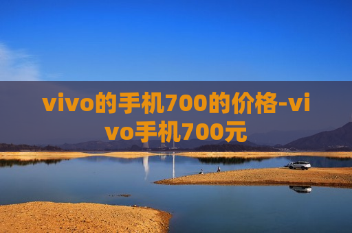 vivo的手机700的价格-vivo手机700元