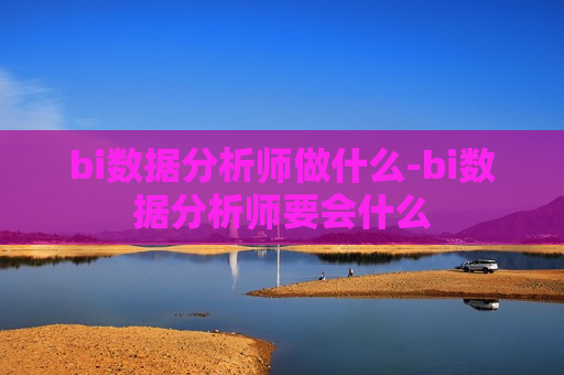 bi数据分析师做什么-bi数据分析师要会什么