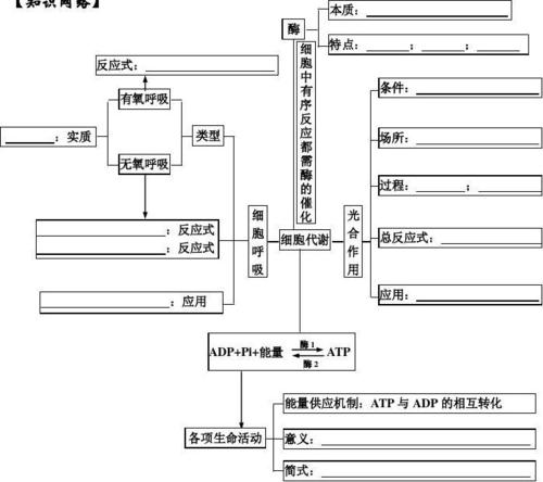 代谢知识导图电仪专业知识题库(代谢知识导图电仪专业知识)